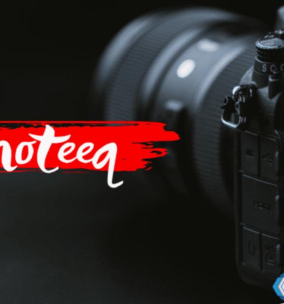 Creative Inspiration with Photeeq Photo Ideas for Every Occasion